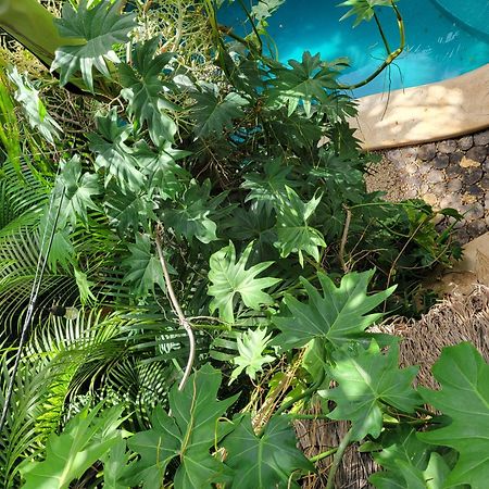 The Secret Garden Tulum Apartment Exterior photo