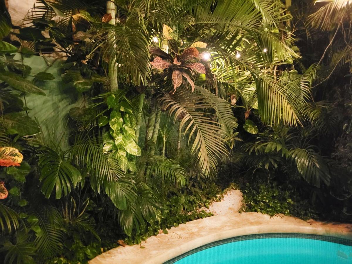 The Secret Garden Tulum Apartment Exterior photo