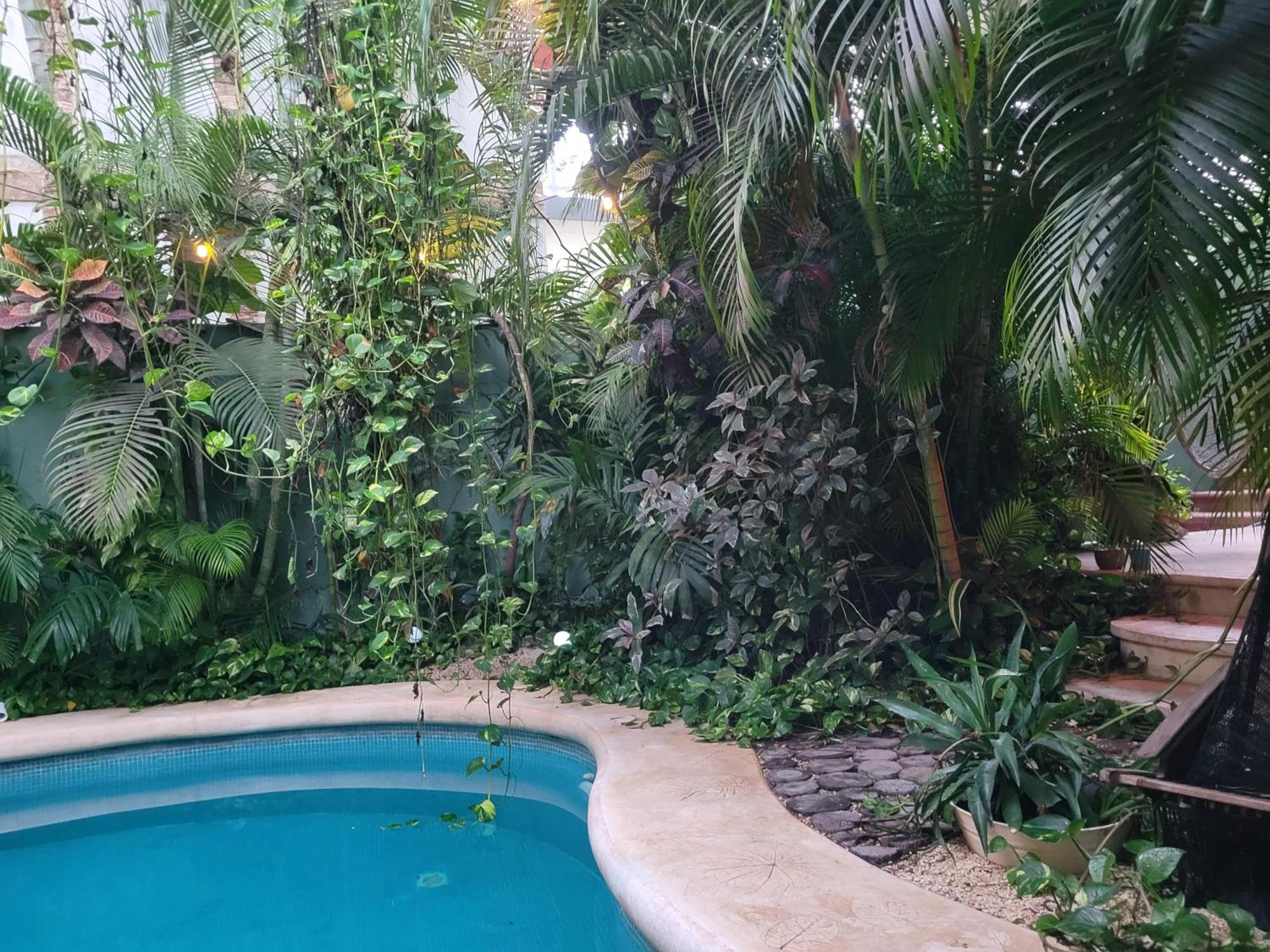 The Secret Garden Tulum Apartment Exterior photo