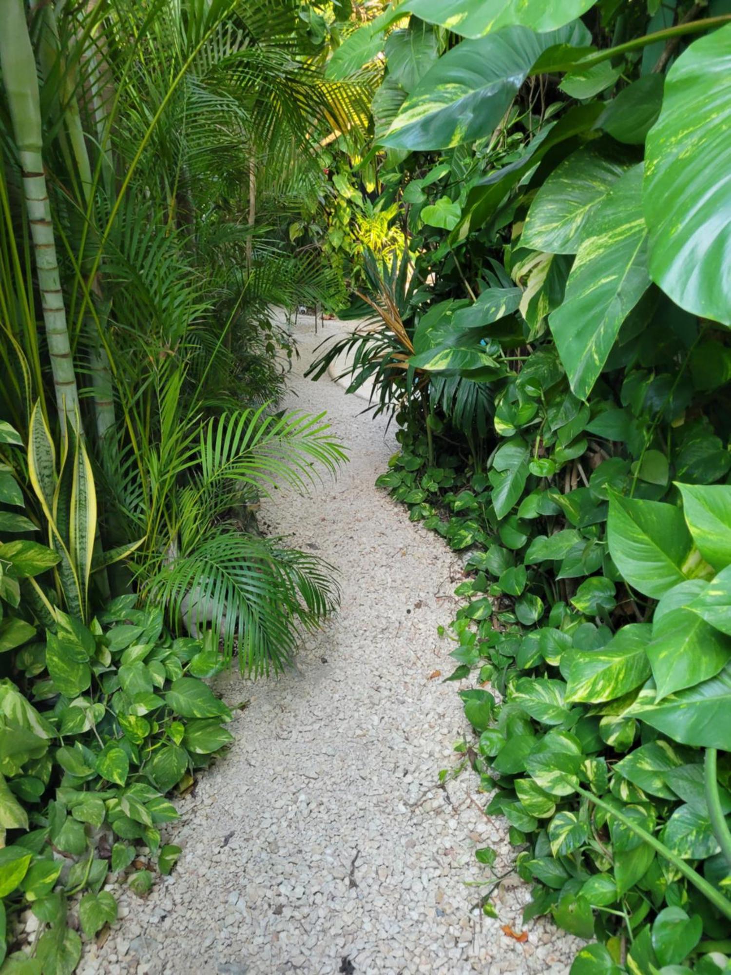 The Secret Garden Tulum Apartment Exterior photo