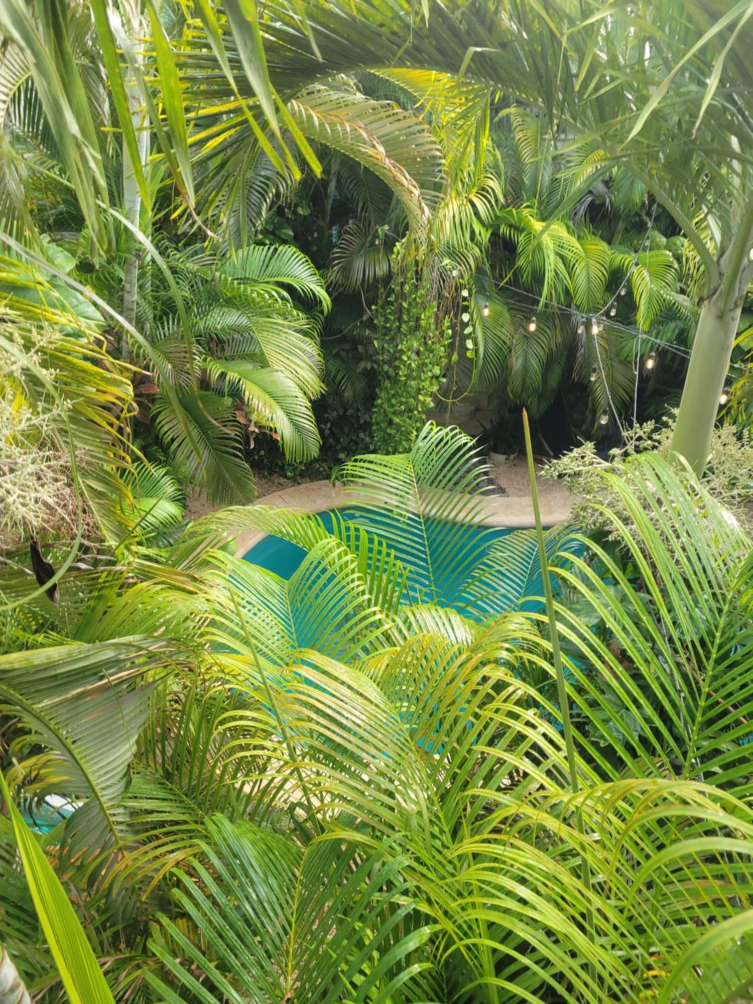The Secret Garden Tulum Apartment Exterior photo