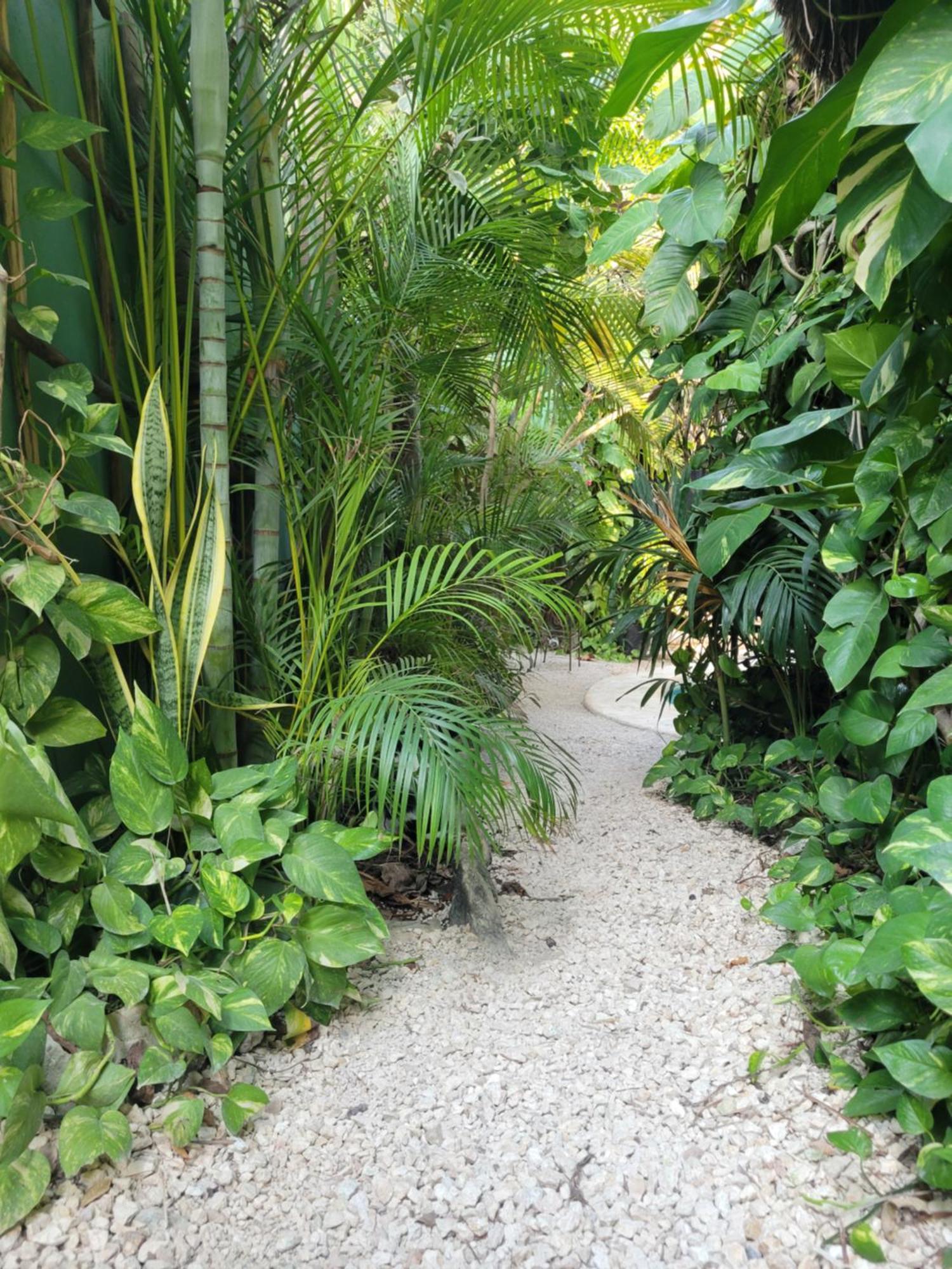 The Secret Garden Tulum Apartment Exterior photo