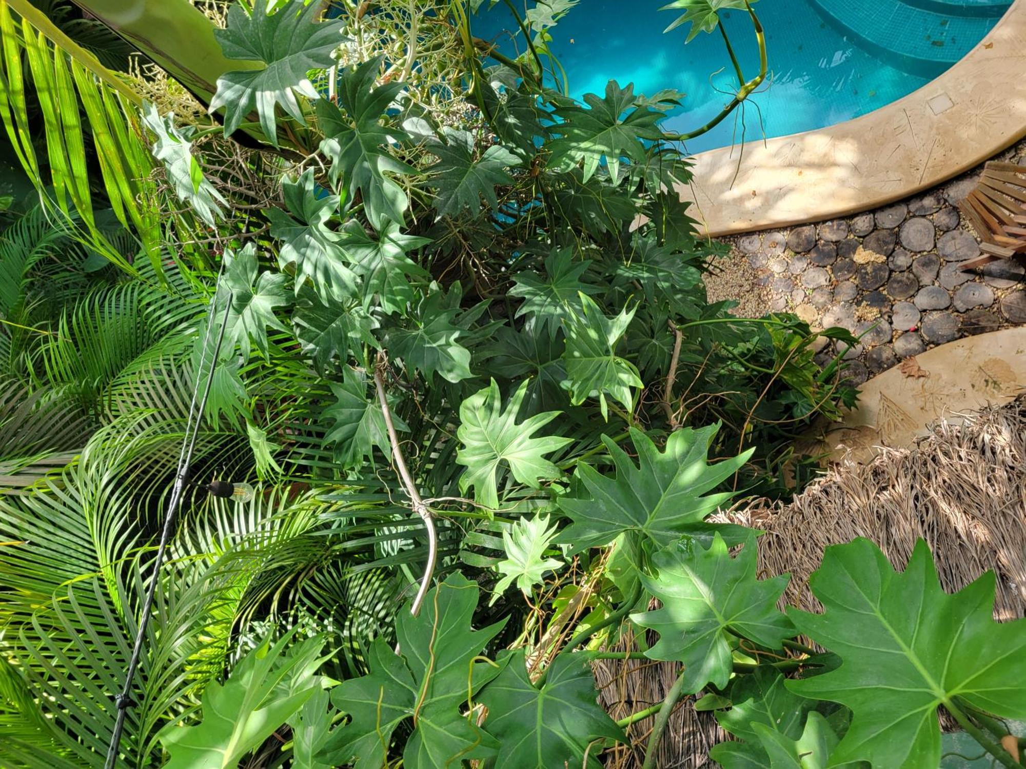 The Secret Garden Tulum Apartment Exterior photo