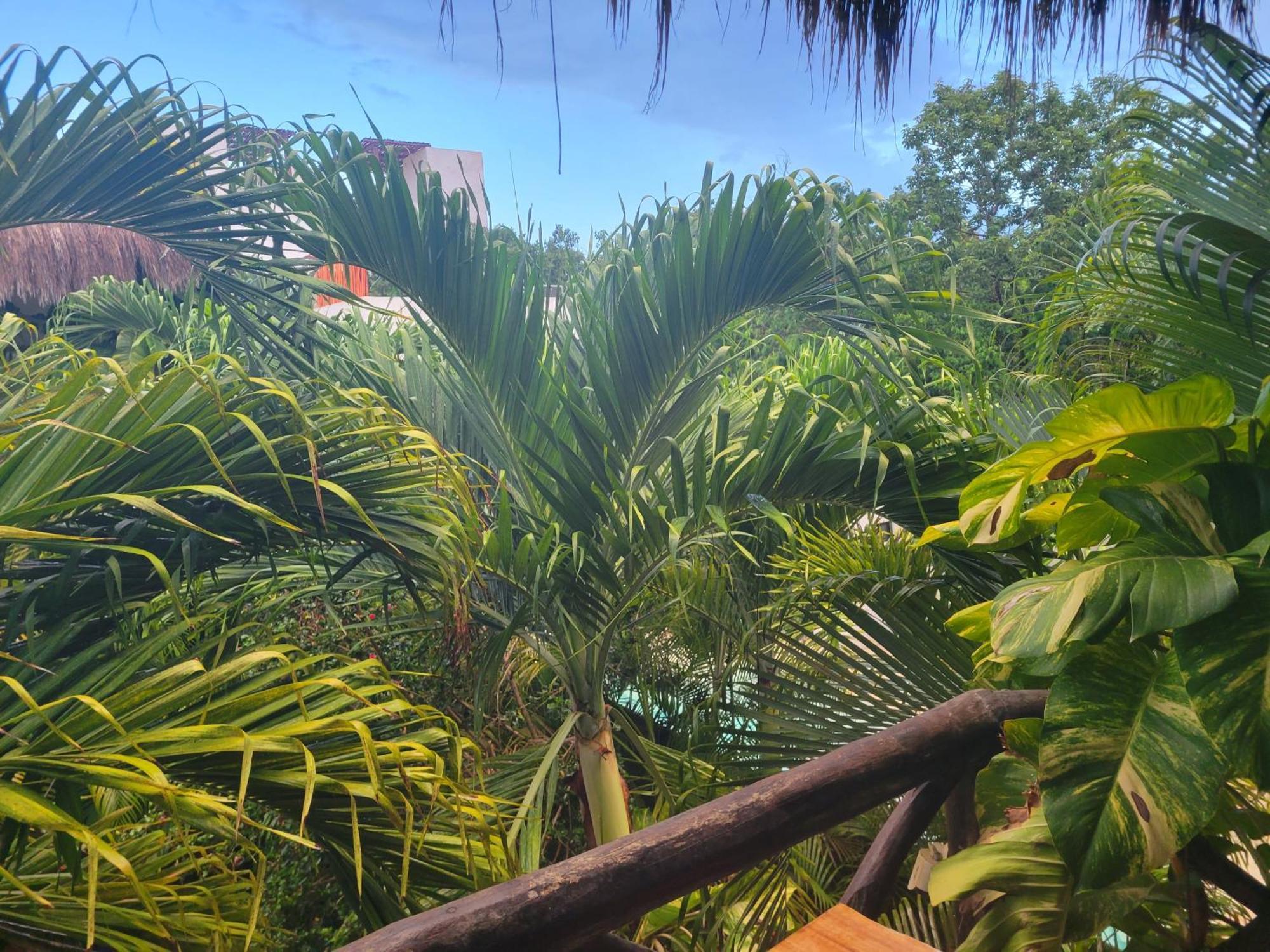 The Secret Garden Tulum Apartment Exterior photo